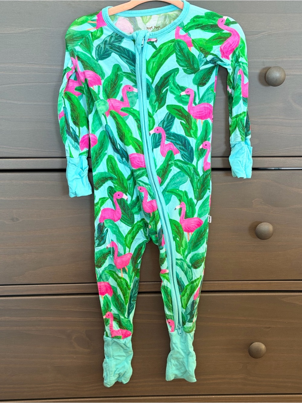 Little Sleepies Mint Palm Springs Zippy